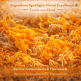 thumbnail image 3 of Calendula Loose Leaf Herbal Tea Dried Marigold Flower Petals Wildcrafted Non-GMO Gluten-Free 4 oz By BexpertsUSA, 3 of 9