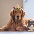 thumbnail image 1 of BESTYASH 3Ud Sombrero De Disfraz Para Mascotas Con Y Cómodo, 1 of 6