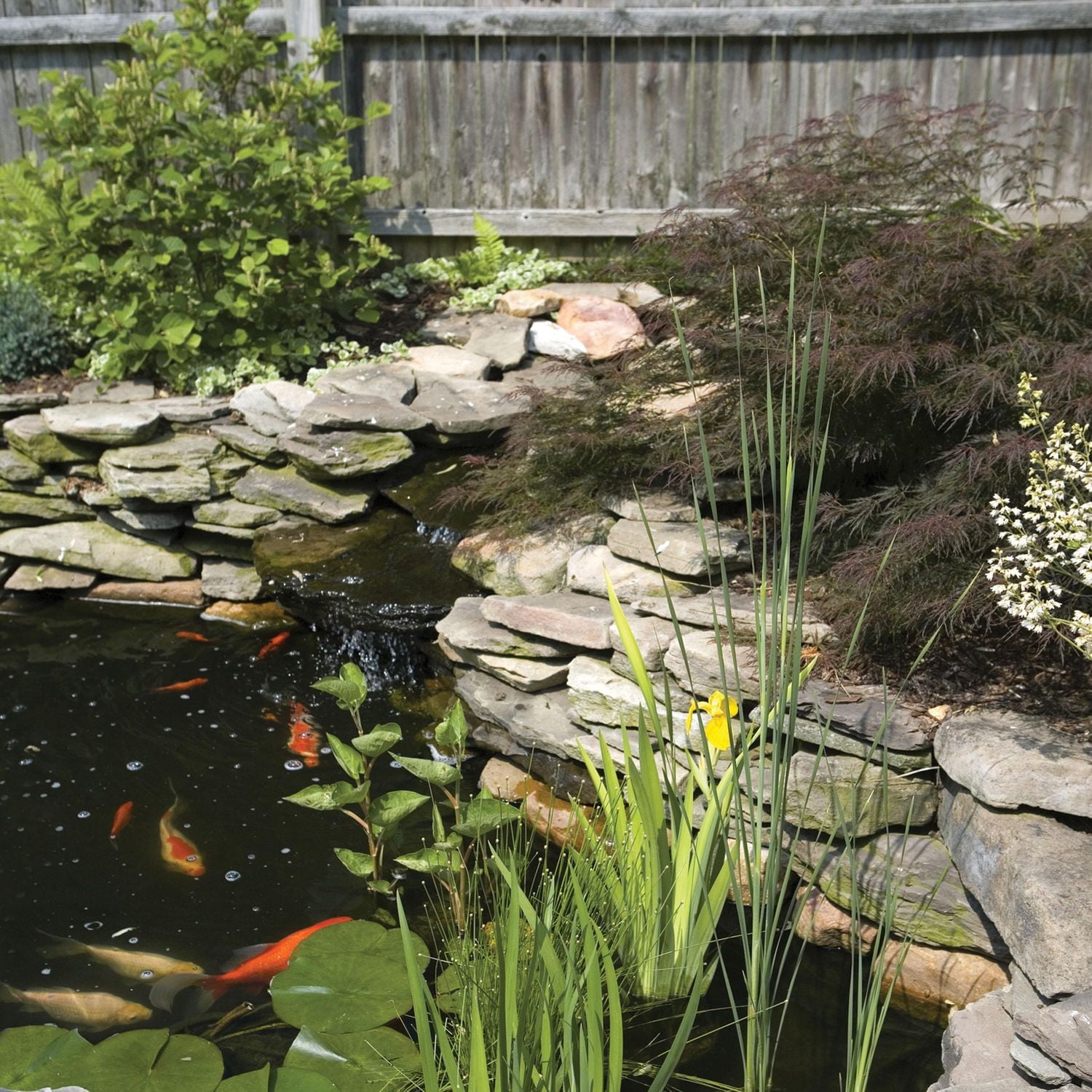 Tetra Pond Water Garden Pump, 1000 GPH, pour grandes cascades, filtres et têtes de fontaine