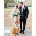 thumbnail image 4 of Dog Engagement Party Supplies, My Humans are Getting Married Dog Bandana, Premium Dogs Wedding Outfit as an Engagement Gifts for Couples, 4 of 6