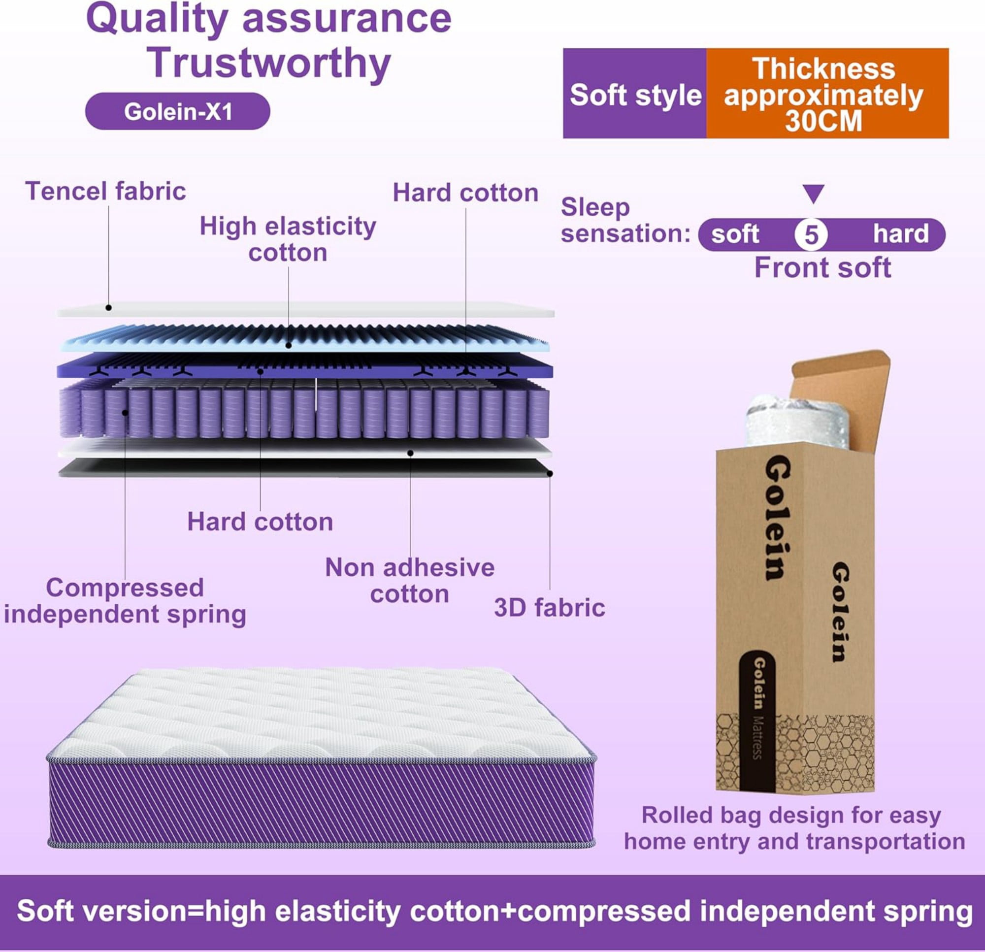 Gewnee Queen Size 12" Tight Top Hybrid Mattress, Individually Wrapped Pocket Springs with Extra Cushioning Foam, Mattress-in-a-Box for Bedroom, Purple Side Fabric