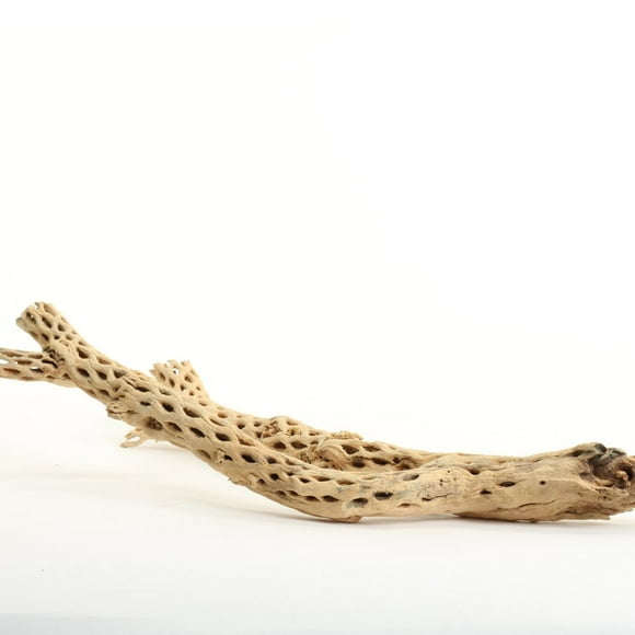 Koyal Wholesale Cholla Wood, 12'', Aquarium & Terrarium Accessories