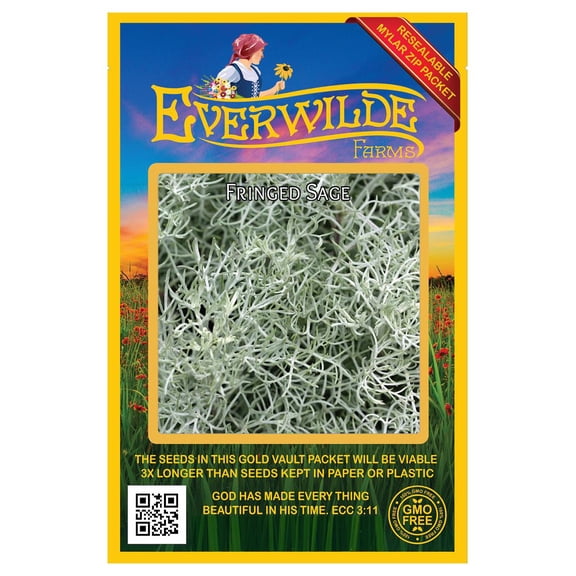 Everwilde Farms - 2000 Fringed Sage Native Wildflower Seeds - Gold Vault Seed Packet