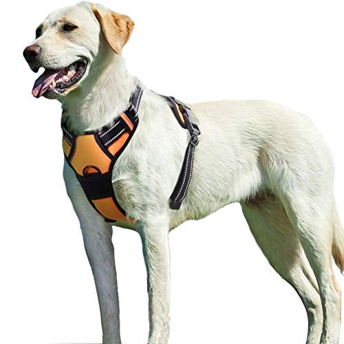 Eagloo Dog Harness No Pull Walking Pet Harness With 2 Metal Rings And Handle Adjustable Reflective Breathable Oxford Soft Vest Easy Control Front Clip Harness Outdoor For Large Dogs Orange Walmart Com