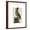 Brown Frame, variant on Art.com Owl on Books Art Print by Fab Funky, 18" x 24"