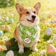 thumbnail image 1 of Bufanda triangular con estampado de conejito de Pascua, babero navideño de gatos y perros, ideal para accesorios fotográficos de fiesta de Pascua y decoraciones navideñas. Bufanda triangular de poliés, 1 of 6