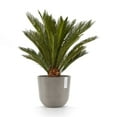 thumbnail image 4 of Ecopots Oslo 10" Round Taupe Plastic Modern Planter, 4 of 4