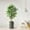 Ficus Tree, variant on Artificial Tree in Modern Geometric Pattern Planter, Fake Monstera Silk Tree for Indoor and Outdoor Home Decoration - 65" Overall Tall (Plant Pot Plus Tree)