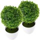 thumbnail image 1 of USHOBE 2Ud Bola De Plantas Artificiales En Plástico Para De Escritorio Multiusos, 1 of 6