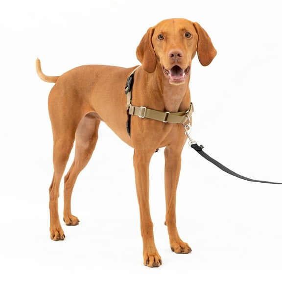 PetSafe Easy Walk Dog Harness, No Pull Leash, prevents from Choking on Walks, Fawn, M