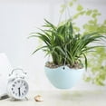 thumbnail image 4 of Flmtop Hanging Chain Flower Pot Basket Planter Container Garden Home Balcony Decoration, 4 of 9