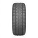 thumbnail image 2 of Llanta 225/45R17 94W CHAMPIRO UHP AS GT Radial, 2 of 2