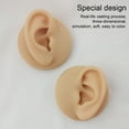 thumbnail image 4 of xinxixnxx Silicone Right Ear Model Holding Mold Soft Professional Studs Display Flexible Realistic Jewelry Practice Training Right Ear/Rack, 4 of 6