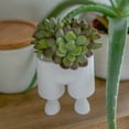 thumbnail image 4 of Clever Contraptions Leggi Succulent & Cactus Planter Pot – Small, 4 of 6