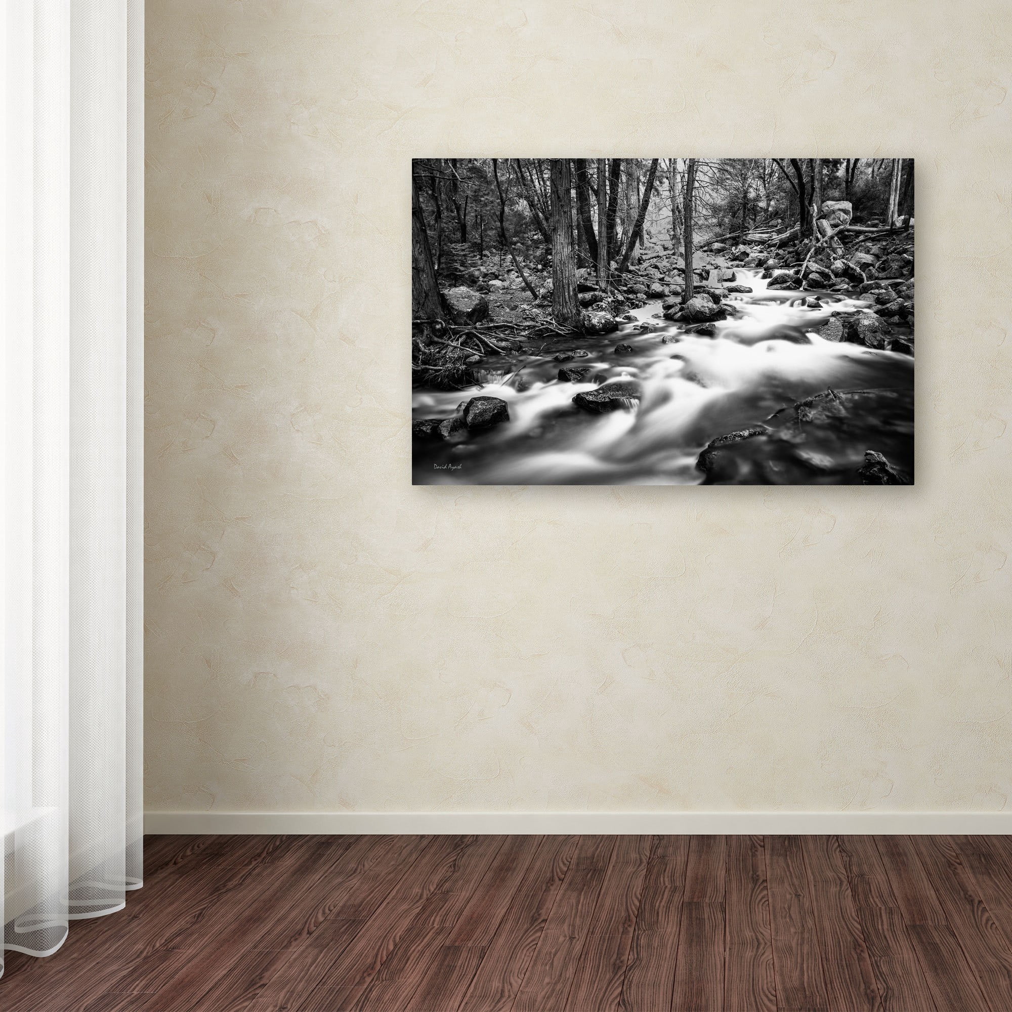 Trademark Fine Art "Yosemite National Park - California-I" Canvas Art by David Ayash