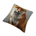 Brown animal Decorative pillowcase, pillow cover, outdoor cushion cover