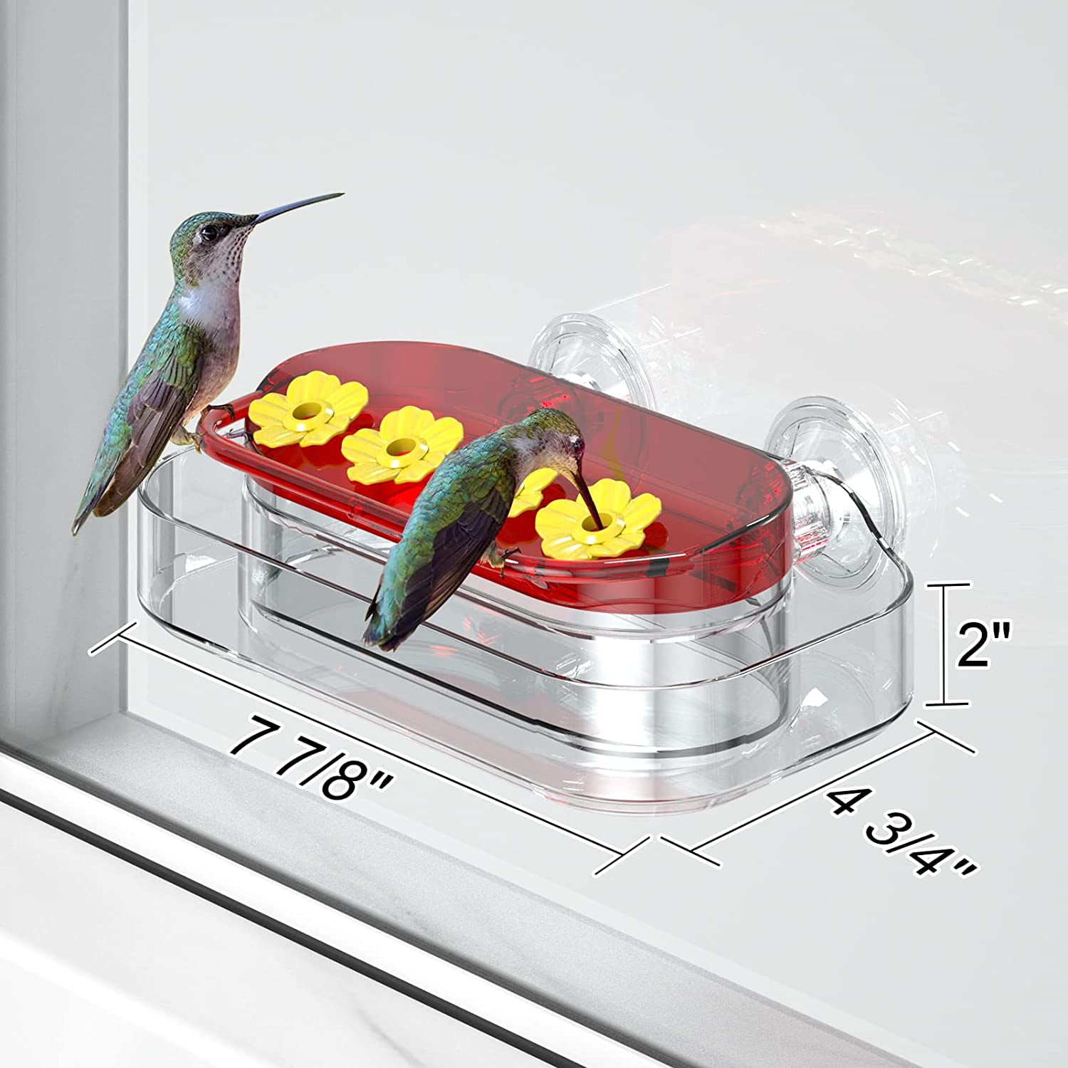 Hummingbird Feeders At Kmart