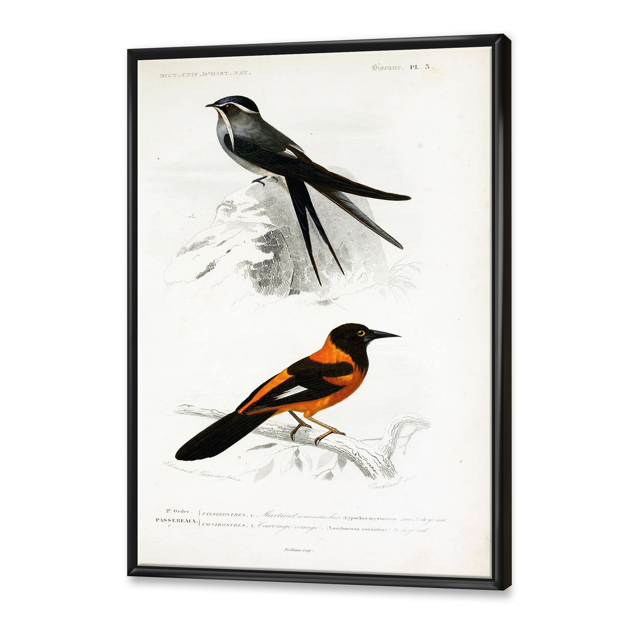 Ancient Bird II 12 in x 20 in Framed Painting Canvas Art Print, by Designart