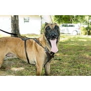 Viper - Biothane K9 Working Dog Leash Waterproof Lead for Tracking Training Schutzhund Odor-Proof Long Line with Solid Brass Snap for Puppy Medium and Large Dogs(Black: W: 1/2 | L: 6 ft)