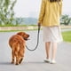 thumbnail image 4 of Correa de entrenamiento para perros para exteriores con correa larga, 4 of 5