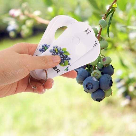 NUOLUX 1Set Blueberry Measuring Ruler for Classifying Blueberries and Fruit Grading 3.9x1.8x0.04in