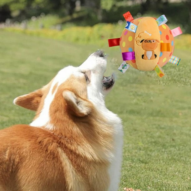 Juguete de pelota para perros Entrenamiento de perros Juguetes
