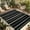 DarkOliveGreen, variant on Black Green White Outdoor Rug for Patio/Deck/Porch, Non-Slip Large Area Rug 3 x 5 Ft, Boho Vintage Abstract Striped Lines Indoor Outdoor Rugs Washable Area Rugs, Reversible Camping Rug Carpet Runner