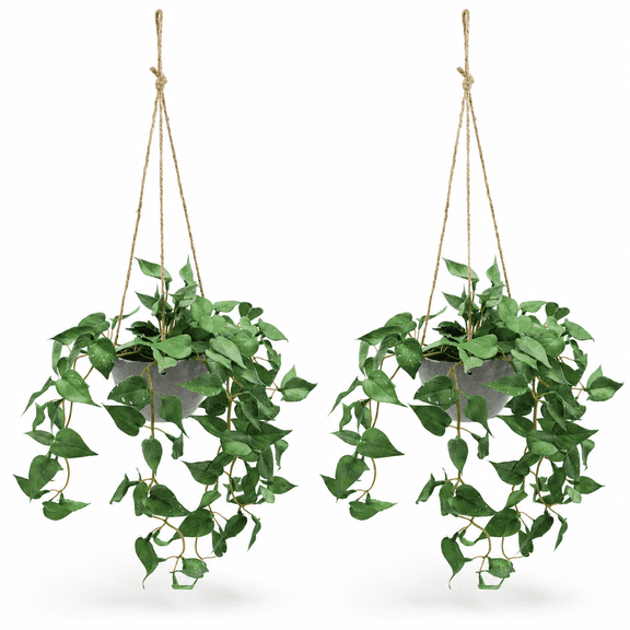 Fake Hanging Plants with Pots 2 Pack Macrame Plant Hanger Indoor & Outdoor Wall Decor, Perfect Home and Room Decoration