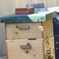 thumbnail image 3 of 4 Pcs Réducteur d'Entrée Outils d'Apiculture Protecteur de Ruche Outil de Ventilation d'Abeille, 3 of 8