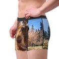 thumbnail image 2 of Yiaed Close-Up Curious Squirrel Print Men's Soft Cotton Boxer Shorts Breathable Boxers Underwear Moisture-Wicking Underwear Stretch Boxer Briefs for Man-XX-Large, 2 of 5