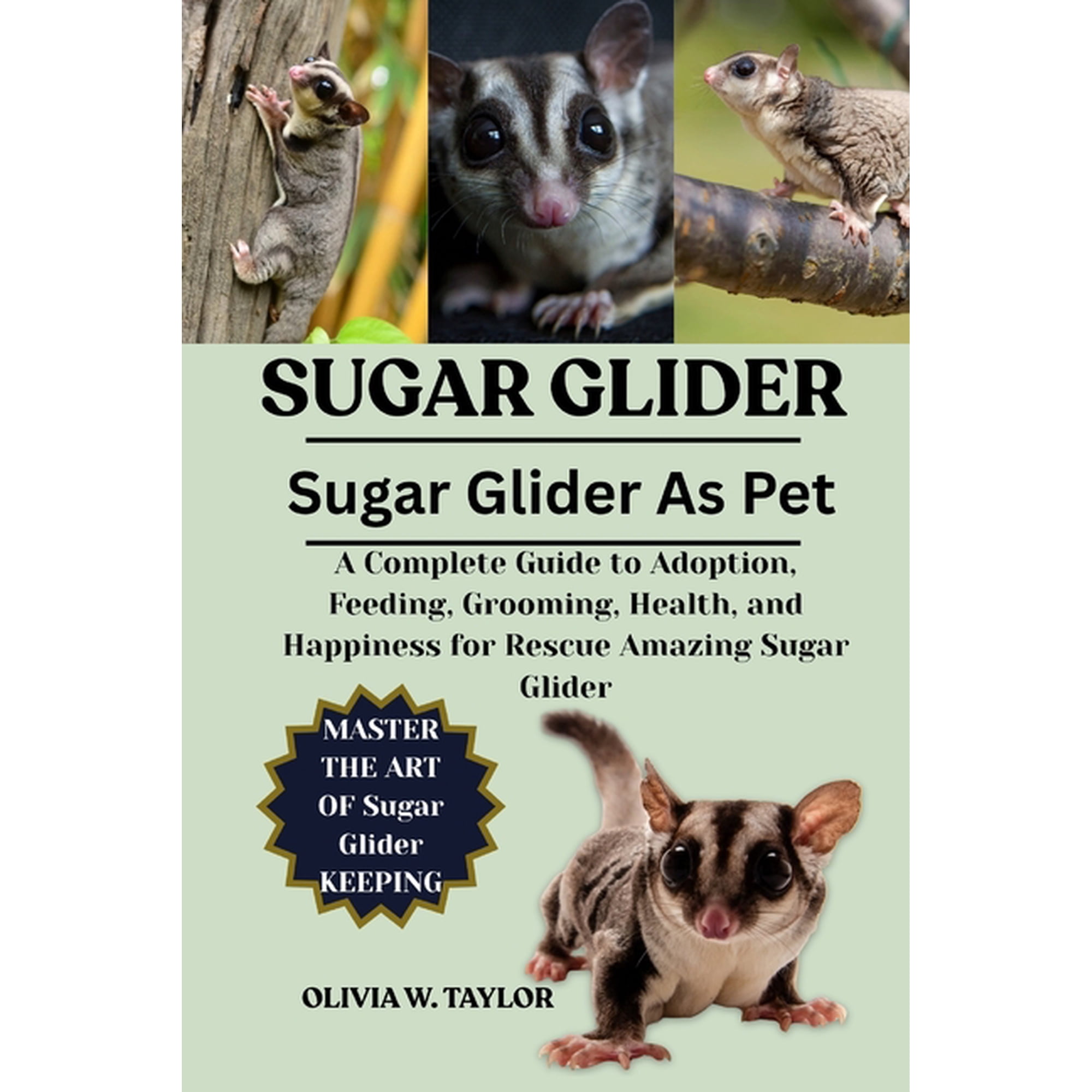 Sugar Glider: A Complete Guide to Adoption, Feeding, Grooming, Health, and Happiness for Rescue Amazing Sugar Glider, (Paperback)