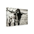 thumbnail image 2 of Trademark Fine Art 'Longhorn Portrait Centered' Canvas Art by Tyler Stockton, 2 of 4