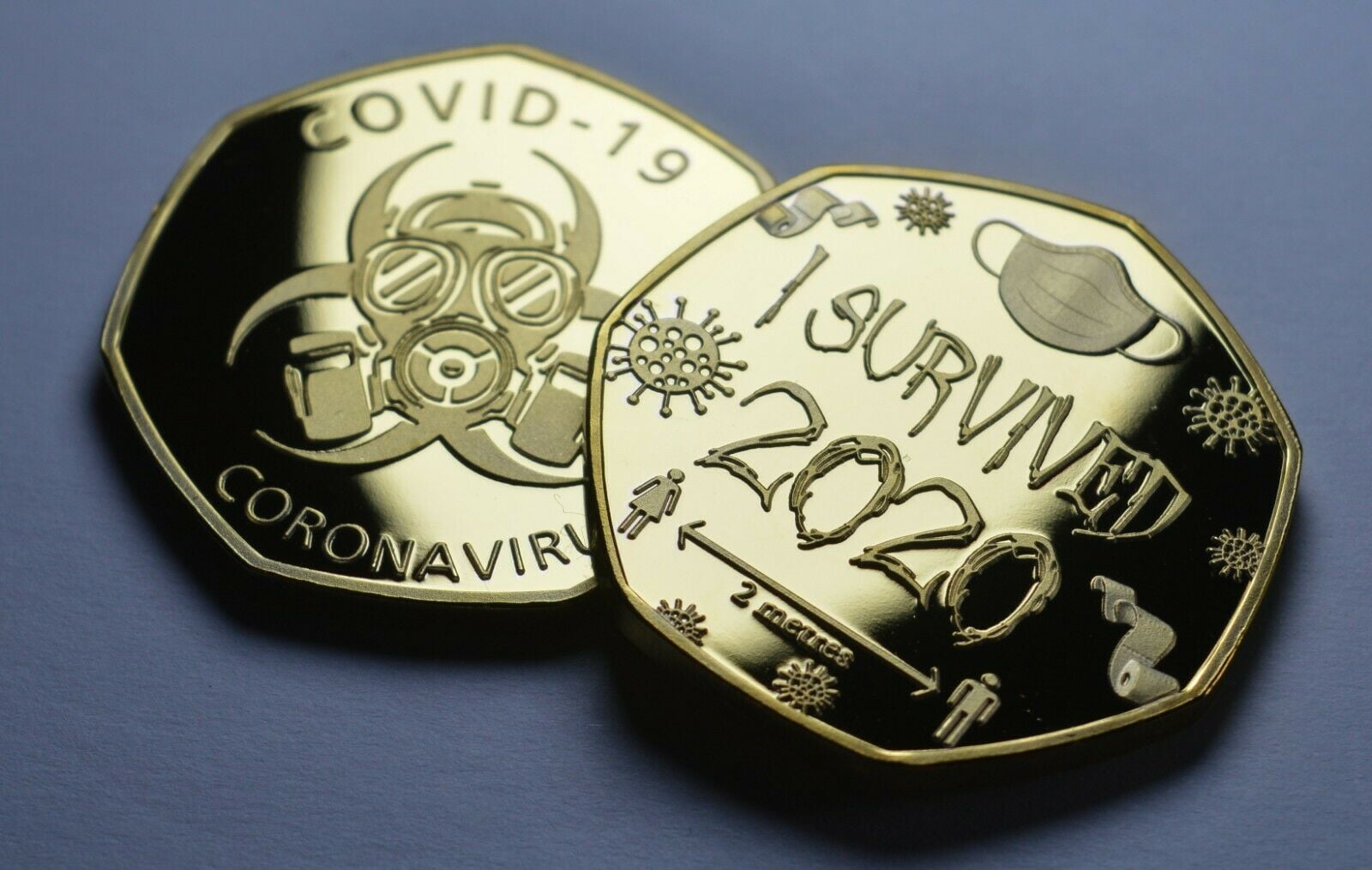 I Survived 2020 Medal Coin Commemorative Collectors Memento Gift With Clear Case 