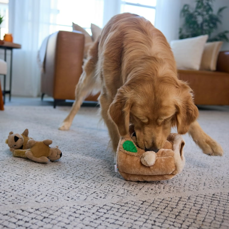 Outward Hound Squeaky Plush Puzzle Dog Toy, Large photo 6