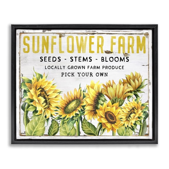 Stupell Industries French Country Antique Sunflower Seeds Black Floating Frame Canvas Art, 21 x 17, by Creatif Belle