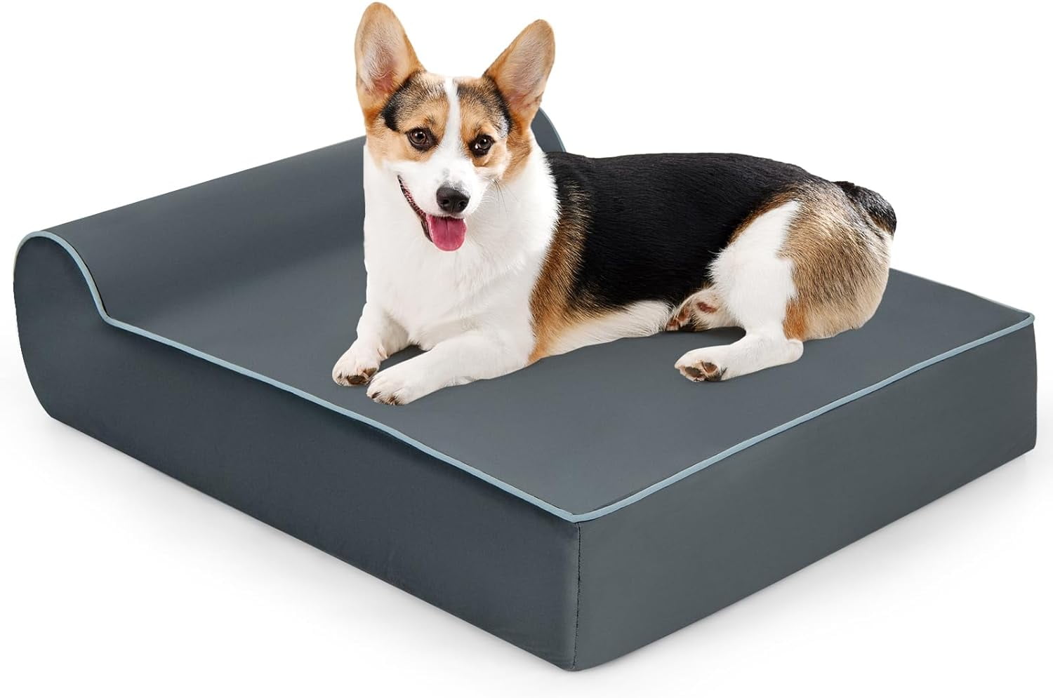 Barkbox orthopedic gel memory foam dog bed sale