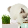 thumbnail image 4 of WRITWAA Pet Feeding Supply Cat Feeder Plastic Pink 1Pack, 4 of 6