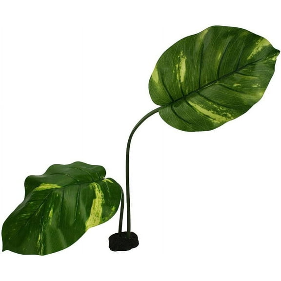 Komodo Jumbo Guiana Terrarium Plant [Reptile, Decorations] 1 count
