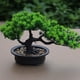thumbnail image 3 of Árbol de bonsái Artificial, planta falsa, decoración en maceta, plantas artificiales para el hogar, planta de bonsái de pino para exhibición de decoración del hogar Vhermosa YQ-0253, 3 of 7