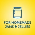thumbnail image 4 of Sure-Jell Original Premium Fruit Pectin for Homemade Jams & Jellies Value Pack, 2 ct Pack, 1.75 oz Boxes, 4 of 14