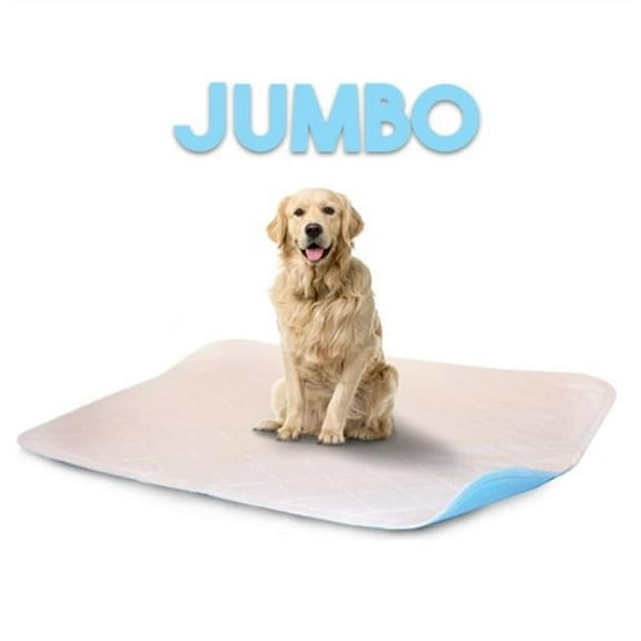 Lennypads 4848LP 48 x 48 in. Jumbo Washable Pet Pad - White