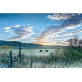 thumbnail image 2 of Delimont, Danita 32x23 Gold Ornate Wood Framed with Double Matting Museum Art Print Titled - Ranch Sunrise, 2 of 4