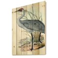 thumbnail image 2 of Designart 'Ancient Australian Birds V' Traditional Print on Natural Pine Wood, 2 of 5