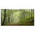 thumbnail image 2 of Early Green Fall Forest - Landscape Photo Canvas Art Print, 2 of 3