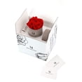 thumbnail image 4 of Mia Milano Roses in a Box I Preserved Roses Box Handmade in The USA I Infinity Flowerbox for Delivery I Preserved Real Roses in Velvet Box 3 Years Shelf Life, 4 of 4