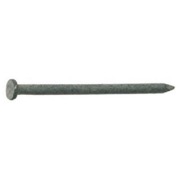 54205 20D Hot Galvanized Smooth Shank Common Nail