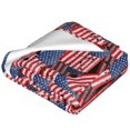 thumbnail image 2 of Salouo America Flags1 Print Bed Blankets,Flannel Blanket Comfortable Air Conditioning Blanket Lightweight Blanket for Sofa Bed Travel & Couch -80"x60", 2 of 8