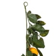 thumbnail image 4 of Vickerman 6' Artificial Green and Yellow Salal Leaf Lemon Garland., 4 of 5
