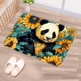 thumbnail image 5 of Panda Polyester Non-Slip Outdoor Carpet Door Mat - Machine Washable Door Rugs, 5 of 6