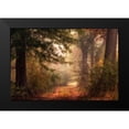 thumbnail image 2 of Head, Danny 18x13 Black Modern Framed Museum Art Print Titled - Autumns Walk II, 2 of 5